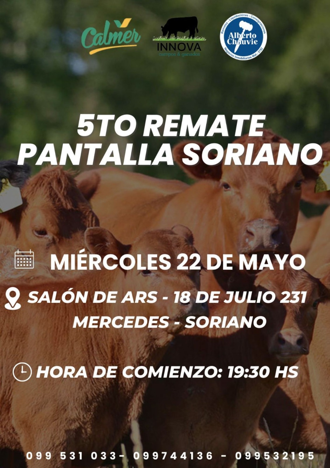 5to. Remate - Pantalla Soriano